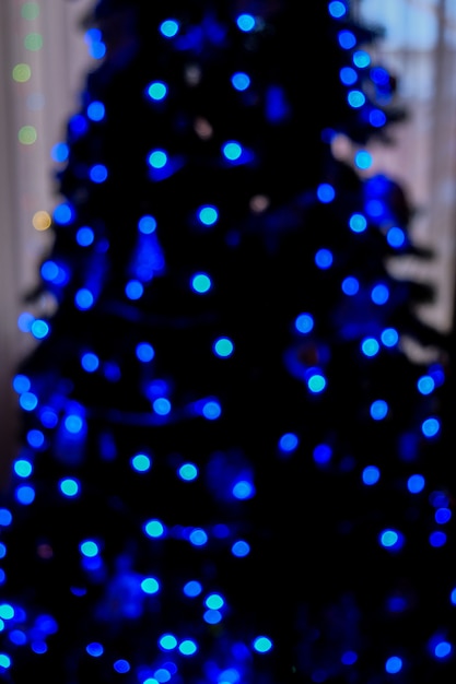Foto luces de vacaciones de invierno por la noche. luces de bokeh azul en la noche. interior de la casa del árbol de navidad. hygge, hogar dulce hogar. decoraciones de año nuevo.