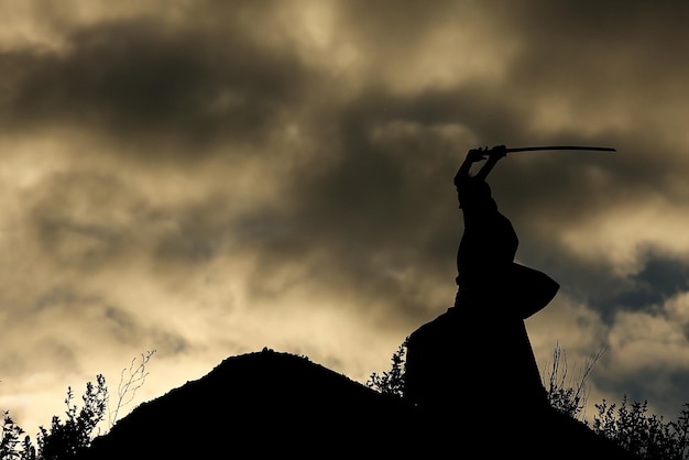 Luchador con una silueta de espada un ninja del cielo.
