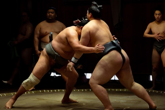 Los luchadores de sumo de Shadows of Strength se enfrentan en un entrenamiento discreto