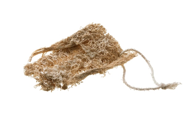 Luffa de esponja natural antigua