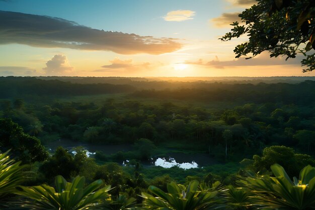 Luftansicht auf einen wunderschönen Sonnenuntergang über dem Fluss und dem Wald im Sommer