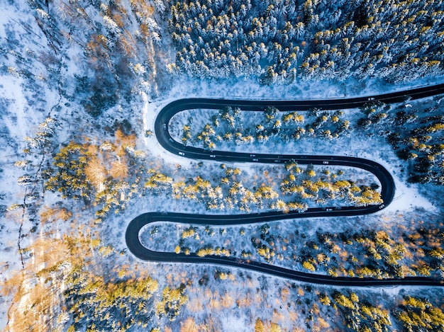 Foto luftansicht der straße inmitten des waldes