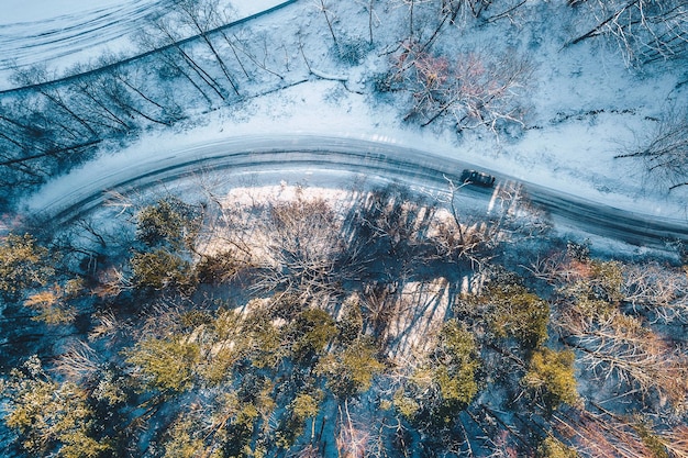 Luftansicht des Baumes im Winter