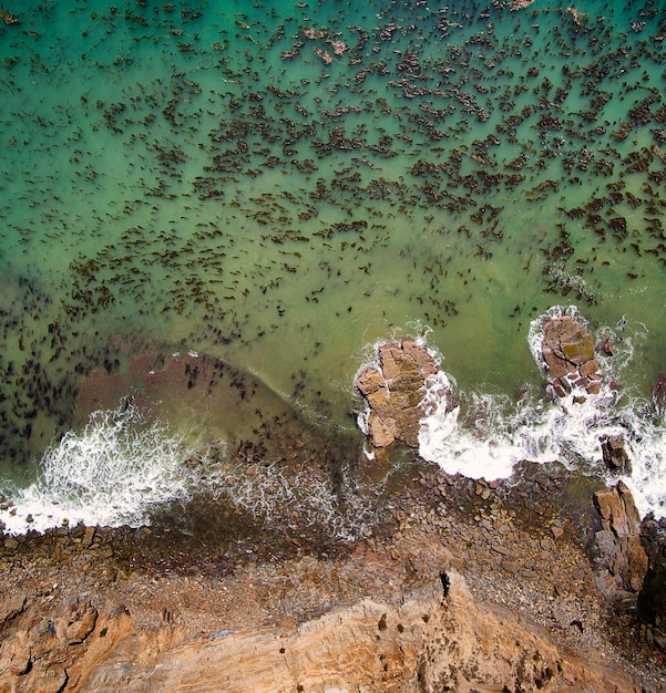 Foto luftansicht des strandes