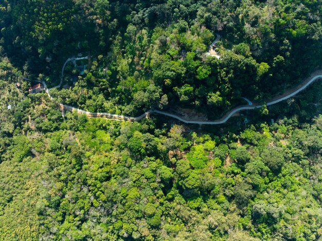 Foto luftansicht drohnenkamera regenwaldbäume