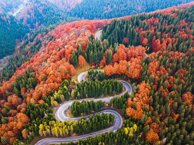 Luftansicht einer kurvenreichen Straße im Wald im Herbst