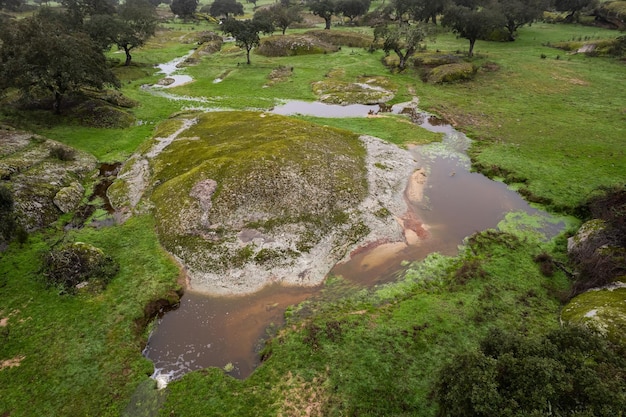 Foto luftansicht eines baches in der dehesa de la luz extremadura, spanien