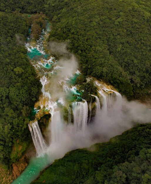 Foto luftansicht eines wasserfalls im wald