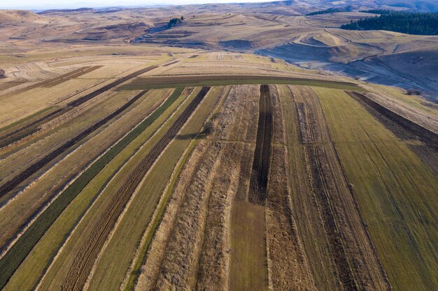 Luftansicht über landwirtschaftliche Felder