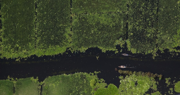 Luftansicht von Booten, die sich auf dem See inmitten von Bäumen im Wald bewegen