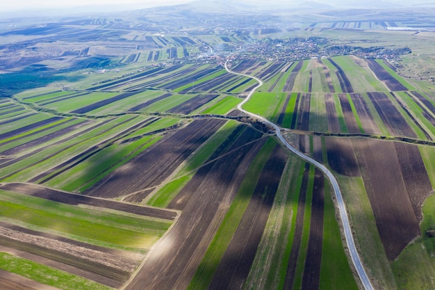 Luftansicht von Drohnen auf landwirtschaftliche Felder mit gepflanzten Pflanzen