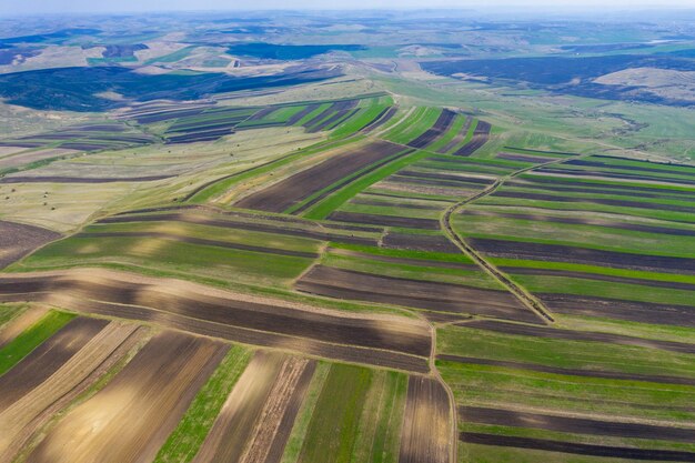 Luftansicht von Drohnen auf landwirtschaftliche Felder mit gepflanzten Pflanzen