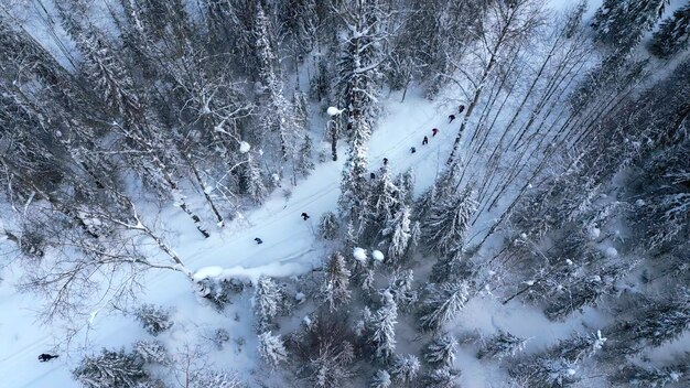 Luftansicht von oben nach unten von einer Gruppe von Wanderern, die einer nach dem anderen den schneebedeckten Weg im Winter folgen