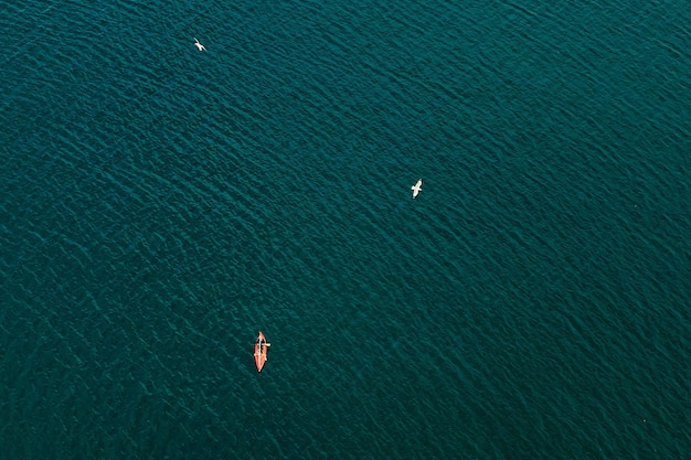 Luftansicht von Vögeln, die über dem Meer fliegen