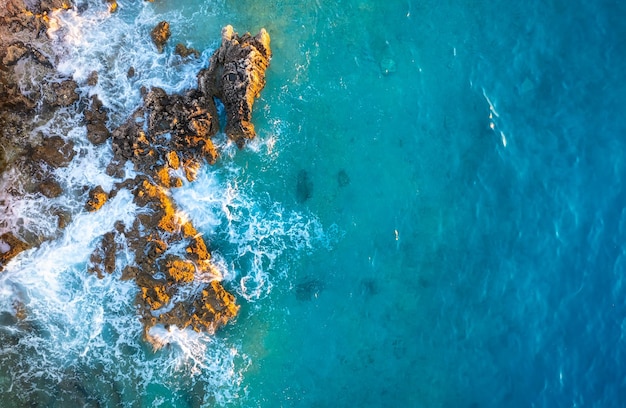 Luftaufnahme am Strand und Bäume Draufsicht von der Drohne am Strand und azurblaues Meer Reisen und Urlaub