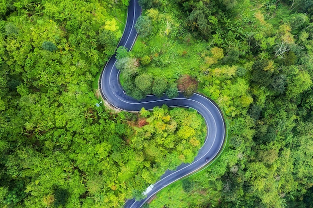 Luftaufnahme auf der Straße im Wald Autobahn durch den Wald Blick von einer Drohne Naturlandschaft im Sommer aus der Luft Reisebild