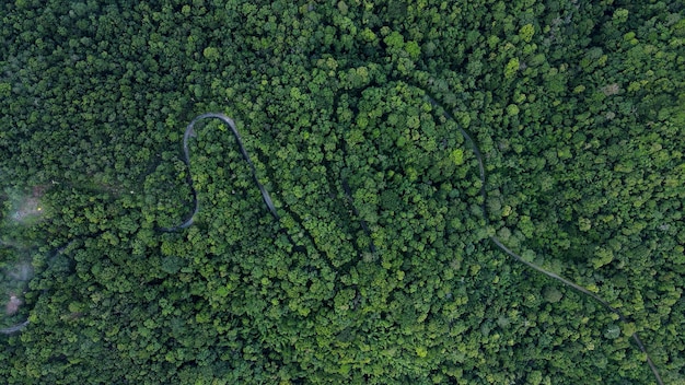 Foto luftaufnahme der bergstraße die straße von oben durch einen nebligen wald in der regenzeit