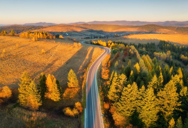 Luftaufnahme der Bergstraße im Wald bei Sonnenuntergang im Herbst Draufsicht von der Drohne der Straße im Wald Schöne Landschaft mit Fahrbahn in Hügeln, Kiefern, grünen Wiesen, goldenem Sonnenlicht im Herbst Reisen