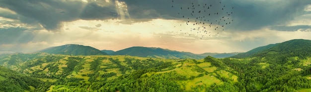 Luftaufnahme der endlosen üppigen Weiden der Karpatenweiten und landwirtschaftlichen Flächen Bebautes landwirtschaftliches Feld Ländliche Berglandschaft bei Sonnenuntergang Ukraine