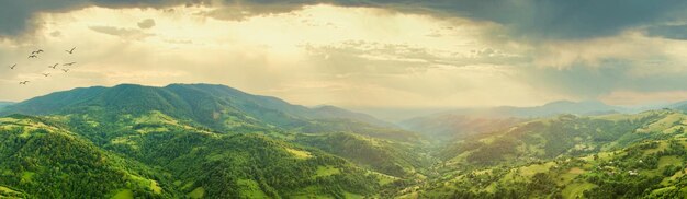 Luftaufnahme der endlosen üppigen Weiden der Karpatenweiten und landwirtschaftlichen Flächen Bebautes landwirtschaftliches Feld Ländliche Berglandschaft bei Sonnenuntergang Ukraine