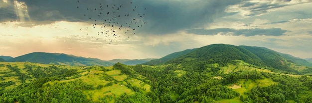 Luftaufnahme der endlosen üppigen Weiden der Karpatenweiten und landwirtschaftlichen Flächen Bebautes landwirtschaftliches Feld Ländliche Berglandschaft bei Sonnenuntergang Ukraine