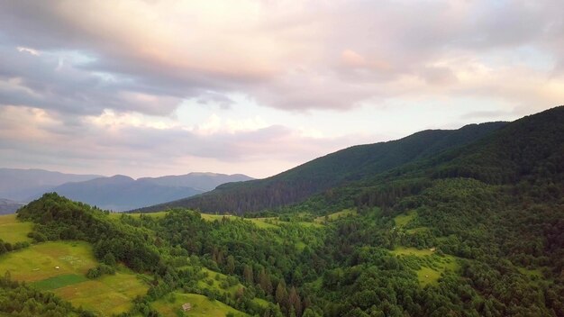 Luftaufnahme der endlosen üppigen Weiden der Karpatenweiten und landwirtschaftlichen Flächen Bebautes landwirtschaftliches Feld Ländliche Berglandschaft bei Sonnenuntergang Ukraine