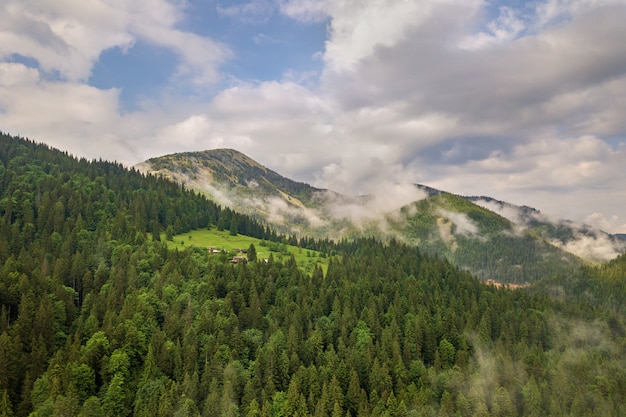 Luftaufnahme der grünen Berge bedeckt mit Kiefernwald.