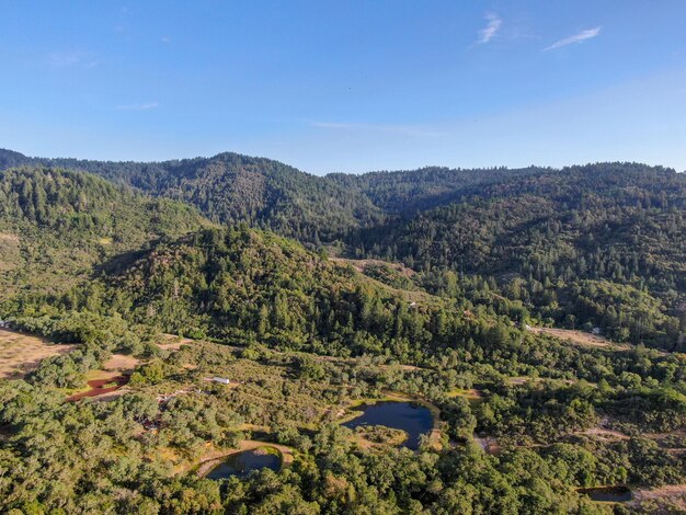 Luftaufnahme der grünen Hügel mit Bäumen im Napa Valley, Kalifornien, USA