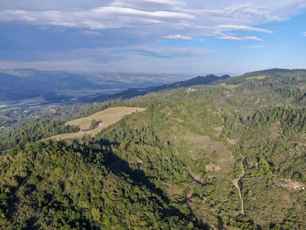 Luftaufnahme der grünen Hügel mit Bäumen im Napa Valley während der Sommersaison