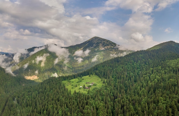 Luftaufnahme der grünen Karpatenberge bedeckt mit immergrünem Fichtenkiefernwald an einem sonnigen Sommertag.