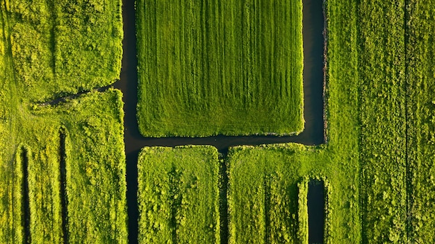 Luftaufnahme der grünen Wiese Niederlande Kanäle mit Wasser für die Landwirtschaft Felder und Wiesen