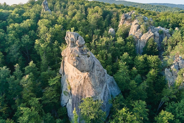 Luftaufnahme der hellen Landschaft mit grünen Waldbäumen und großen Felsbrocken zwischen dichten Wäldern im Sommer Schöne Landschaft mit wilden Wäldern