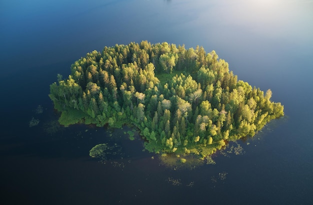 Luftaufnahme der Insel auf dem See