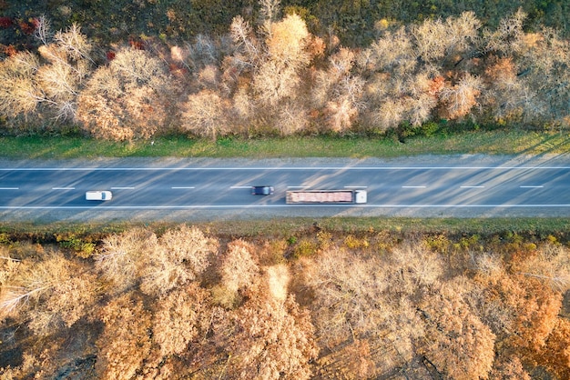 Luftaufnahme der Intercity-Straße mit schnell fahrenden Autos zwischen Herbstwaldbäumen bei Sonnenuntergang Draufsicht von der Drohne des Autobahnverkehrs am Abend