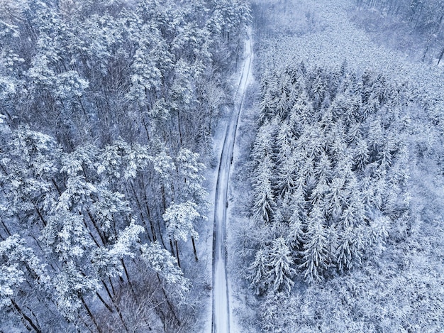 Luftaufnahme der kleinen Straße und des weißen Waldes im Winter