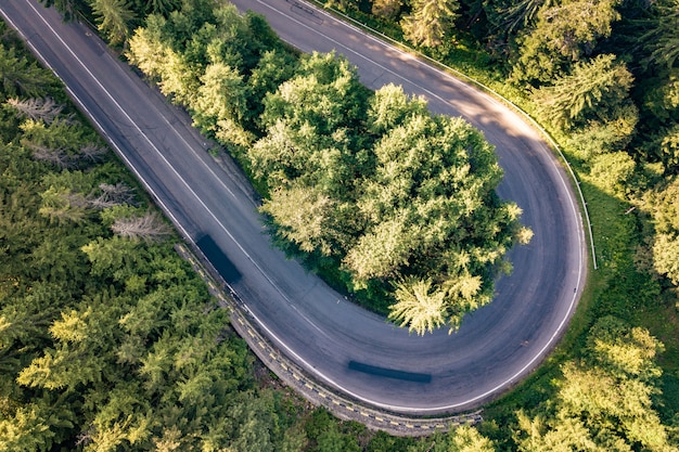 Luftaufnahme der kurvenreichen Straße im Hochgebirgspass durch dichte grüne Kiefernwälder.