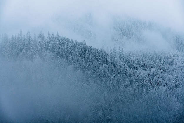 Luftaufnahme der Landschaft im Winter