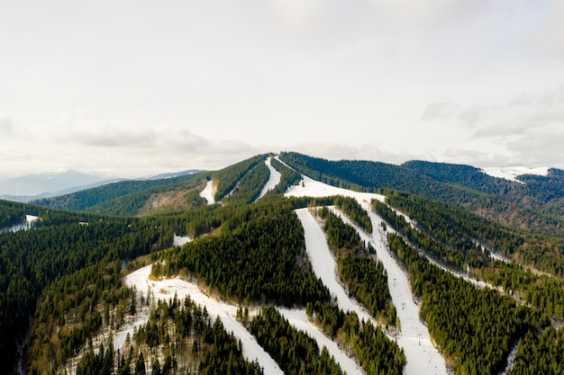 Luftaufnahme der Landschaft von Ski- und Snowboardhängen durch Kiefern