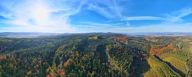 Luftaufnahme der mit Herbstwald bedeckten Berge