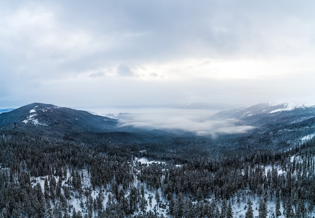 Luftaufnahme der mystischen Landschaft eines Wintergebirgswaldes an einem bewölkten frostigen Tag.