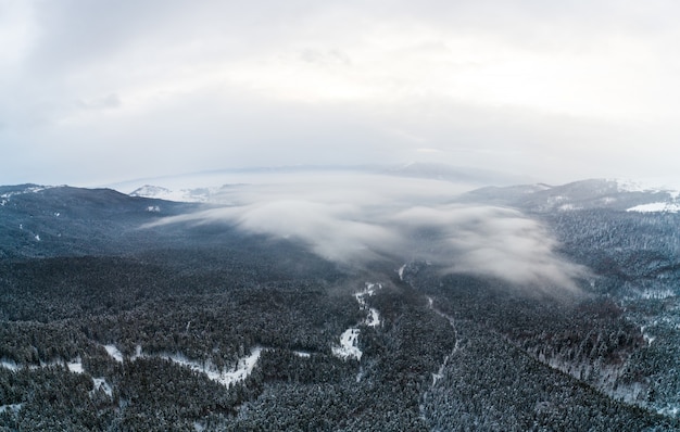 Luftaufnahme der mystischen Landschaft eines Winters