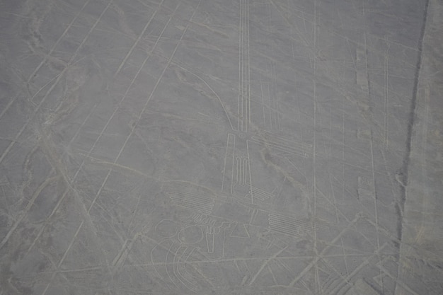 Luftaufnahme der Papageien-Geoglyphe an den Nazca-Linien in Peru