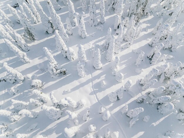 Luftaufnahme der schneebedeckten Winterwaldlandschaft in Finnland Lappland