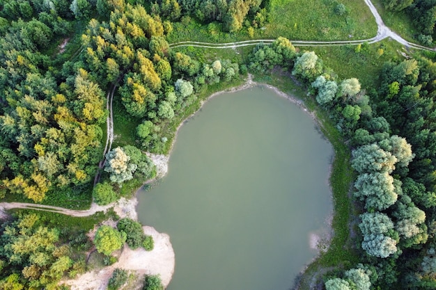 Luftaufnahme der sommergrünen Bäume im Wald mit See