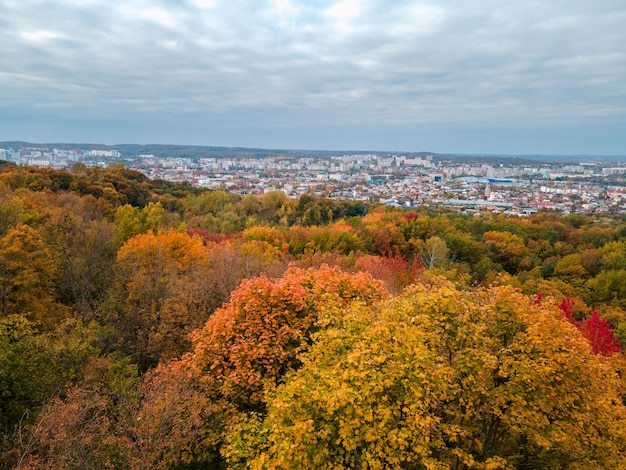 Luftaufnahme der Stadt Lemberg im Herbst