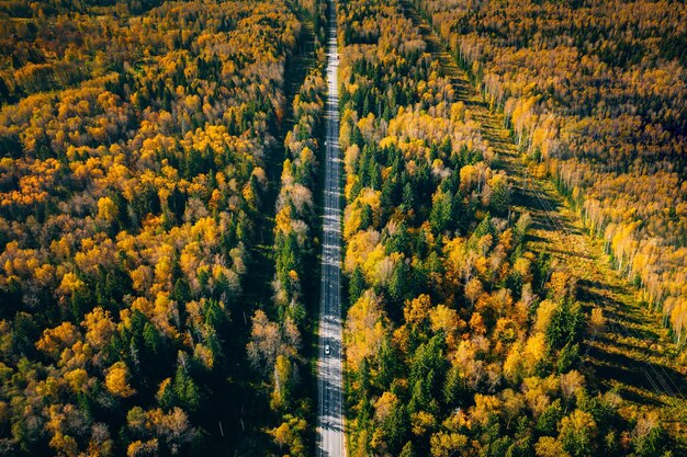 Luftaufnahme der Straße im Herbstwald mit roten und orangefarbenen Blättern Herbst Herbststraße mit goldenen Farben im Wald