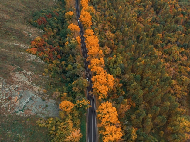 Luftaufnahme der Straße im schönen Herbst-Altai-Wald.