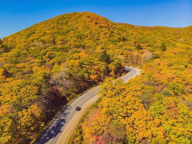 Luftaufnahme der Straße im schönen Herbstwald bei Sonnenuntergang Schöne Landschaft mit leeren ländlichen Straßenbäumen mit roten und orangefarbenen Blättern Autobahn durch den Park Draufsicht von der fliegenden Drohne Natur