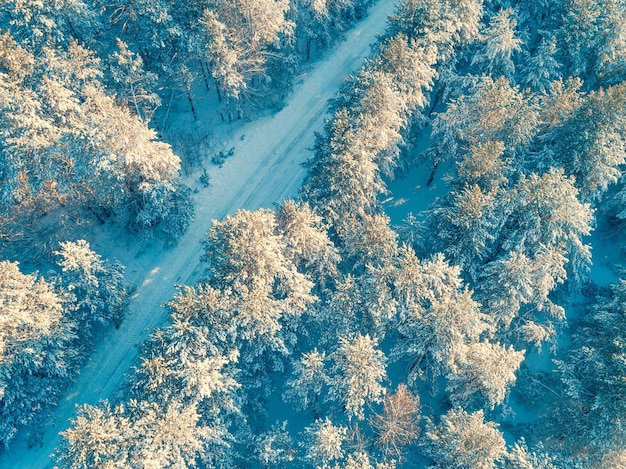 Luftaufnahme der Straße im Winter Kiefernwald Winterlandschaft Verschneiten Kiefernwald Bäume mit Schnee bedeckt