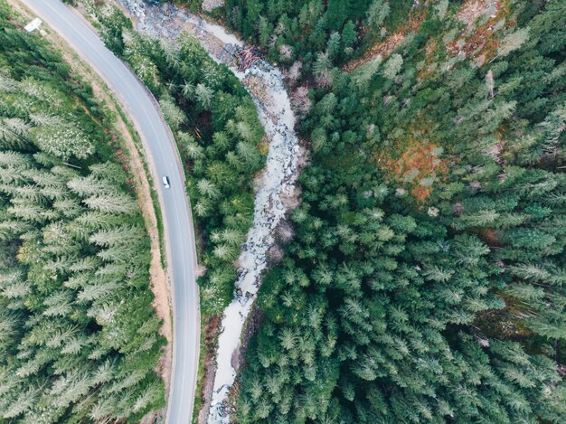 Luftaufnahme der Straße mit Fluss daneben in Bergen mit immergrünen Bäumen